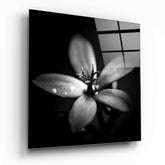 Flower Glass Wall Art.